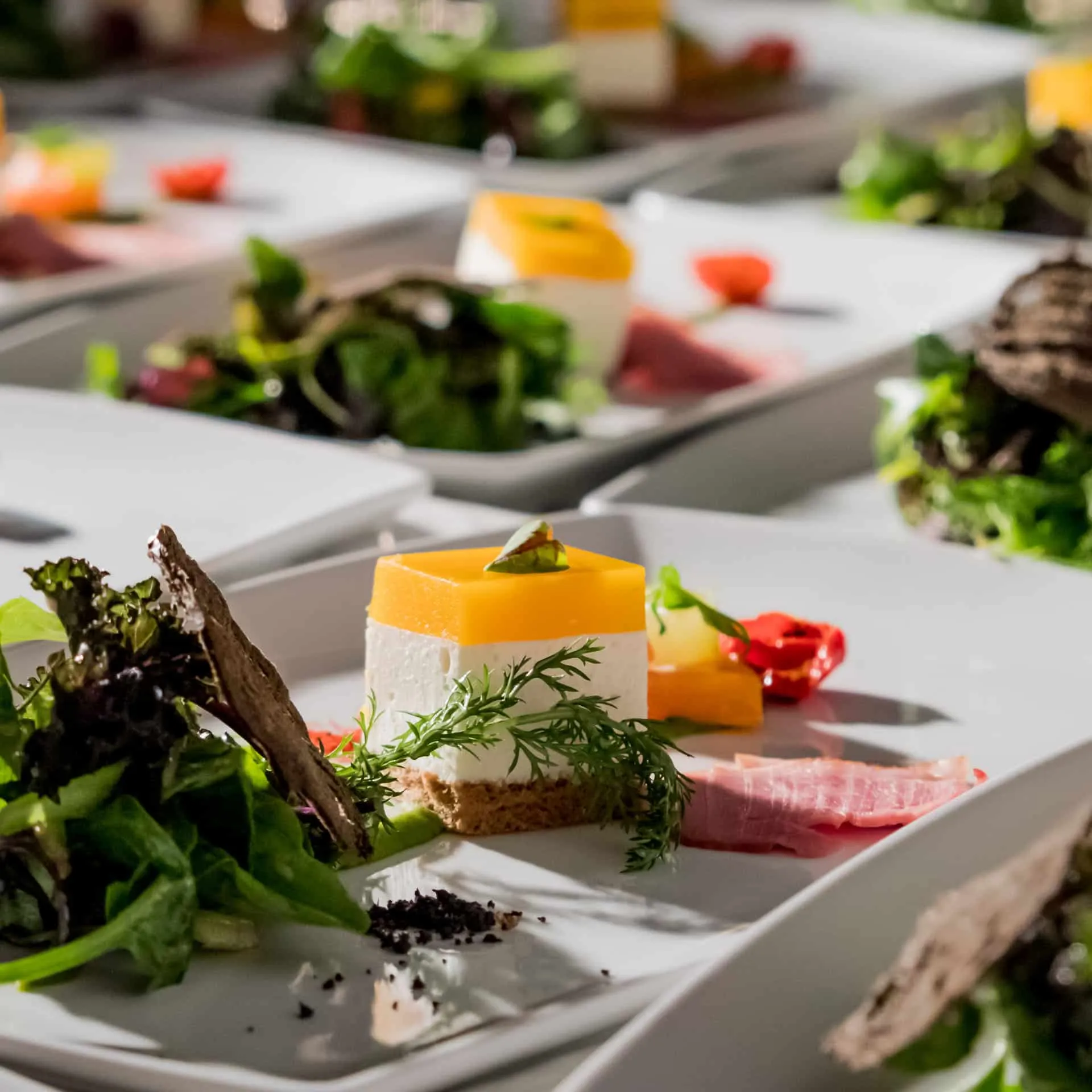 Gourmet-Vorspeiseteller mit Käse-Mousse, frischem Salat und Kräutern auf weißem Porzellan angerichtet.