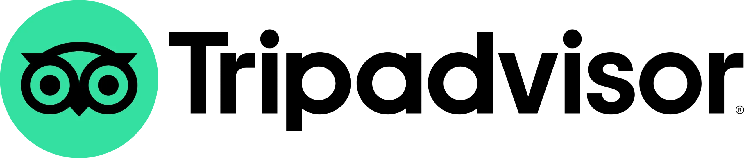 Tripadvisor-Logo mit stilisierter Eule in Schwarz auf grünem Hintergrund und dem Schriftzug Tripadvisor rechts daneben.
