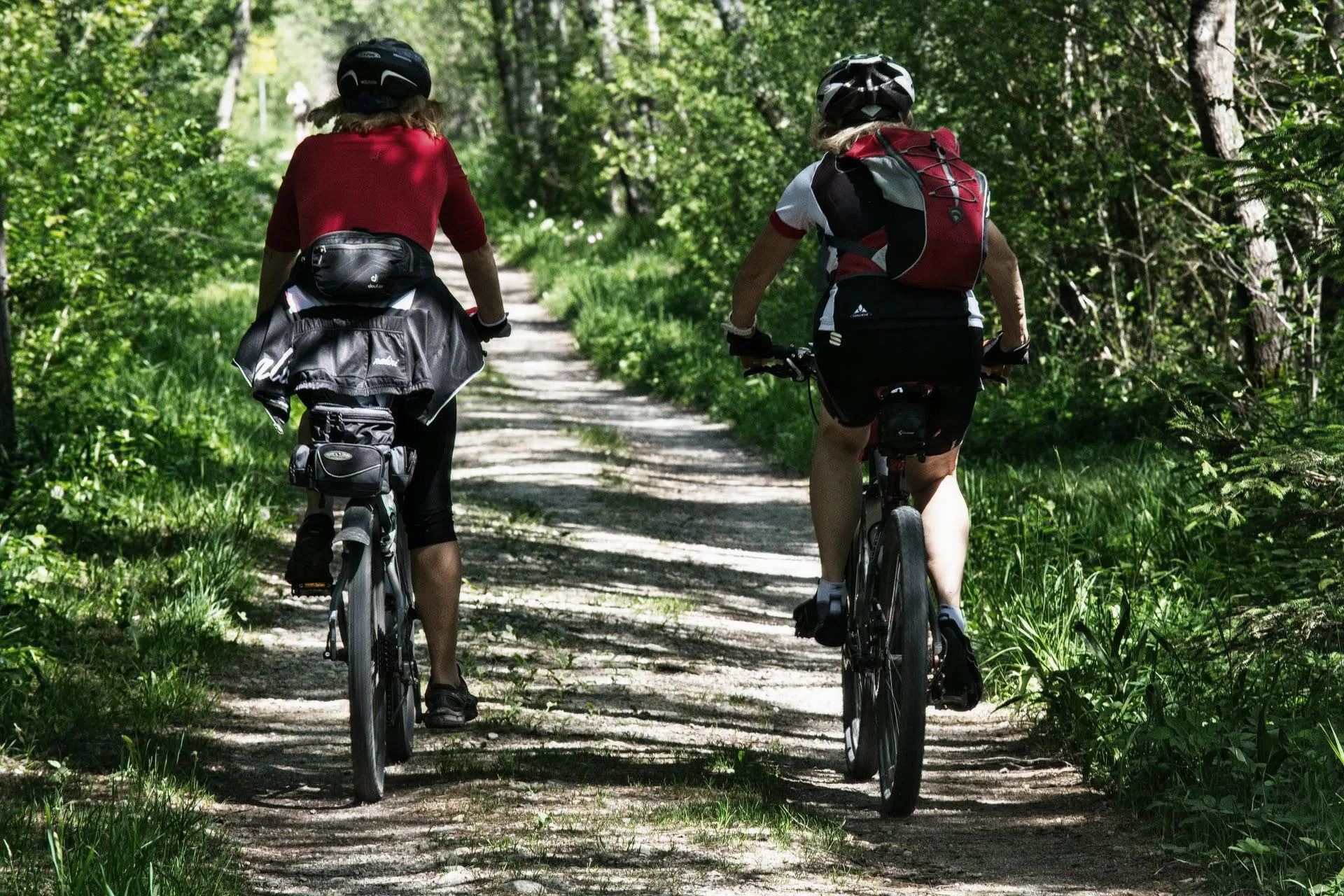 imgi_16_Hotel-Schwanen-Arrangement-Neckartalradweg Zwei Radfahrer fahren auf einem schattigen Waldweg durch grüne Vegetation.